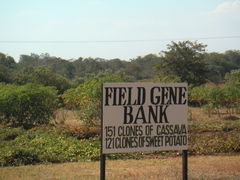 Field Genebank